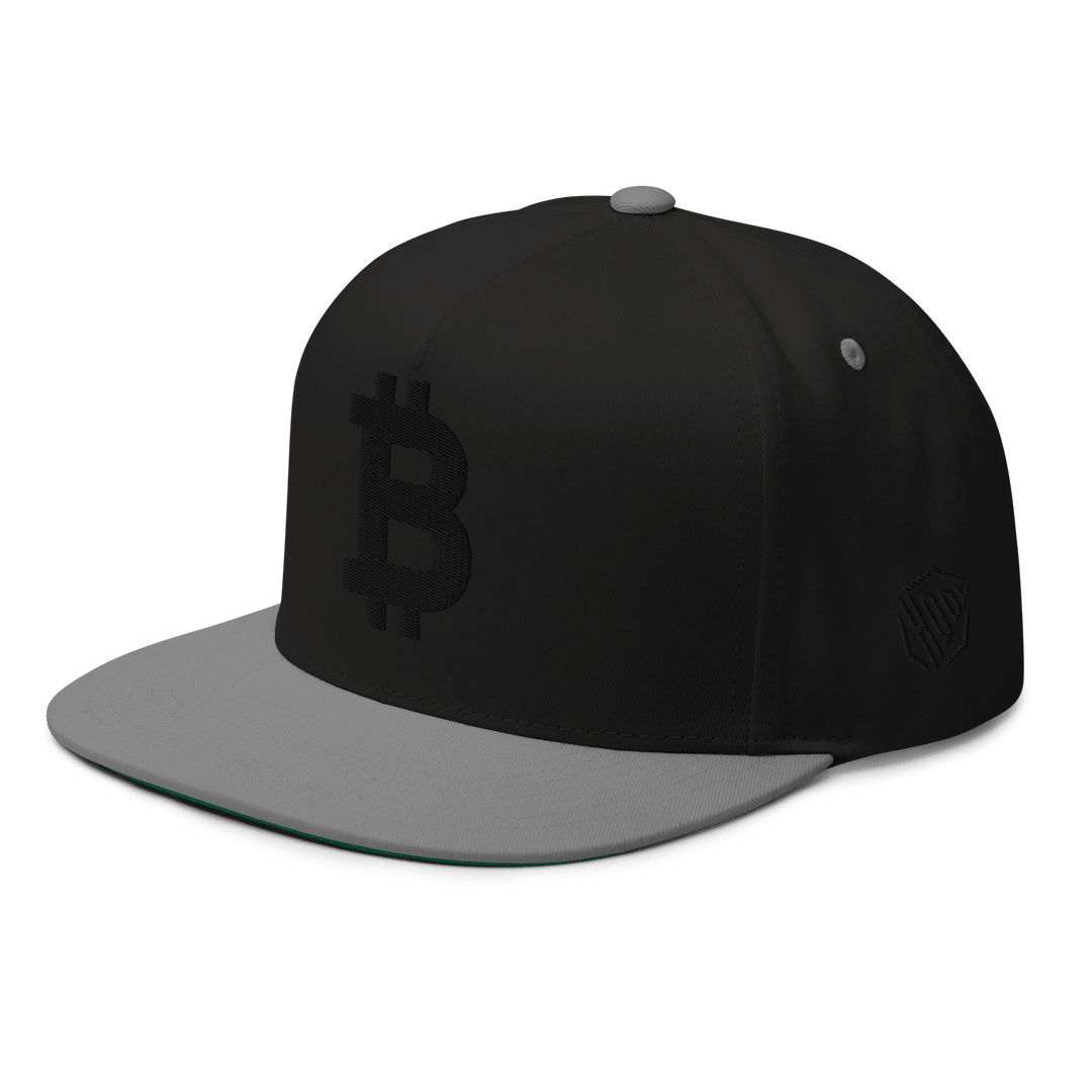 Bitcoin Flat Bill Cap Black 3D