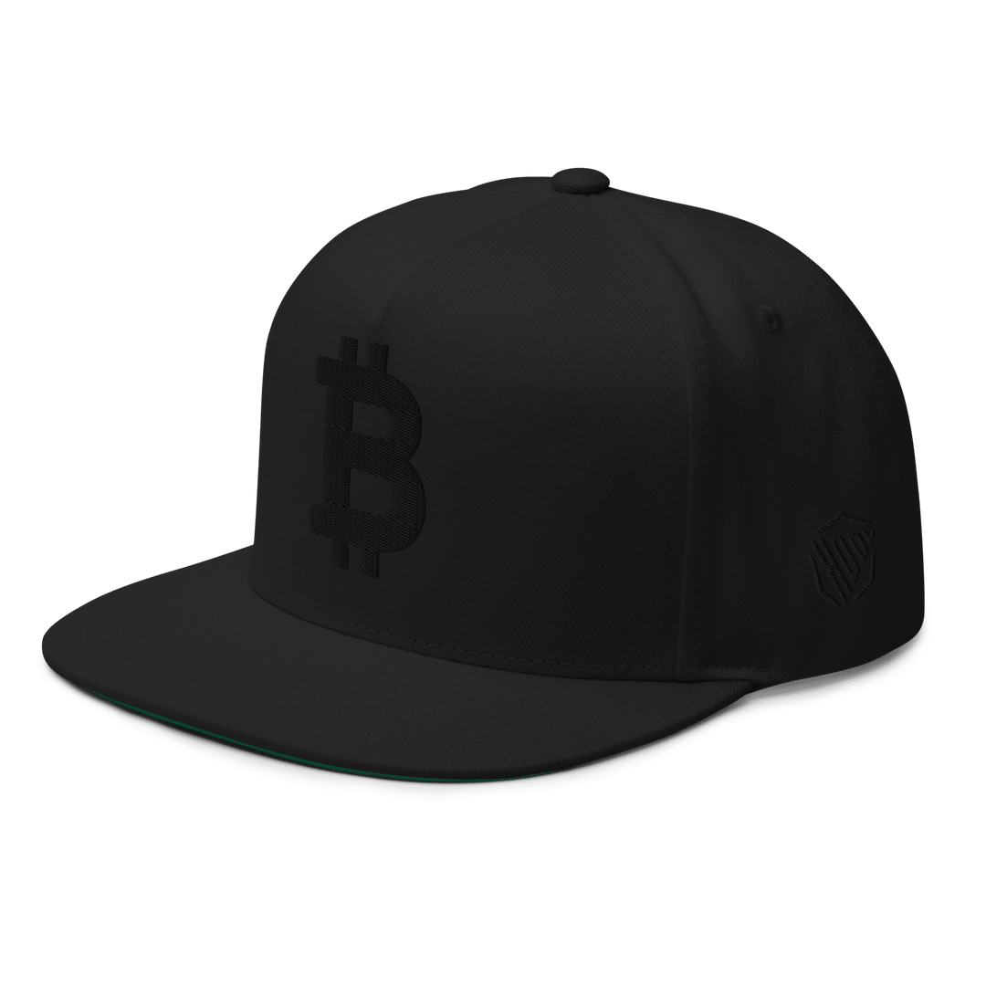 Bitcoin Flat Bill Cap Black 3D