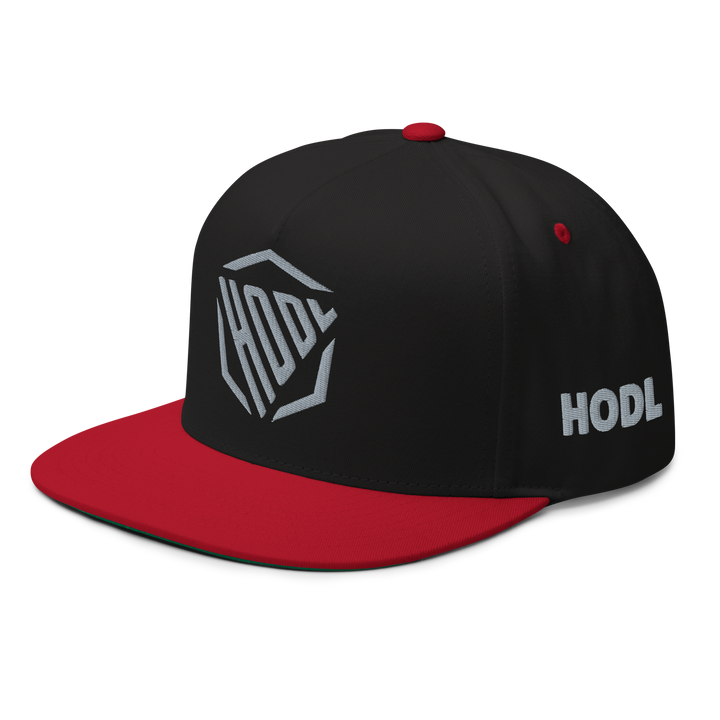 HODL Flat Bill-Cap HODL Logo Grau