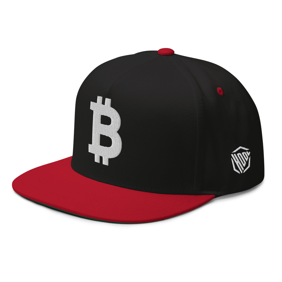 Bitcoin Cap  Flat Bill White 3D