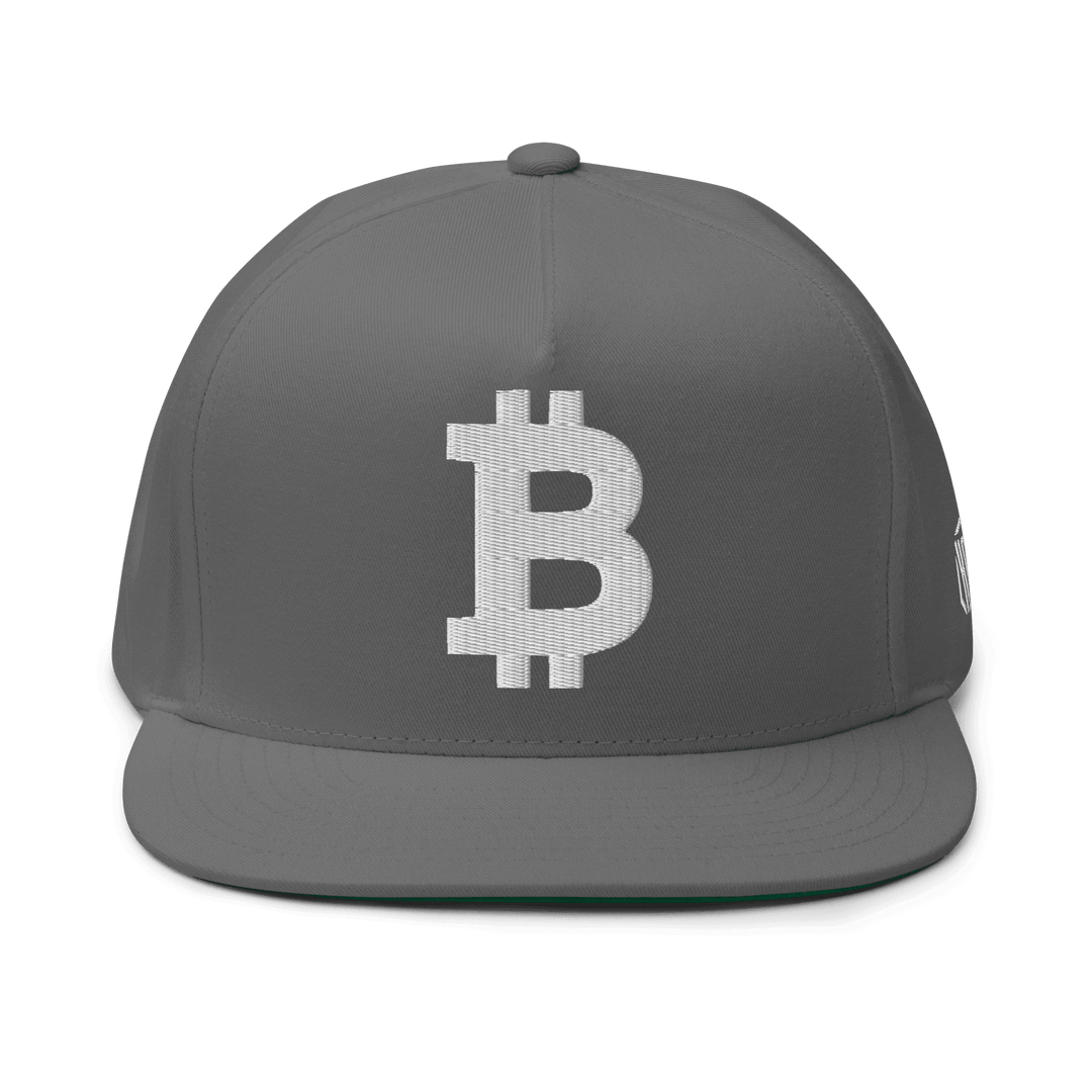 Bitcoin Cap  Flat Bill White 3D