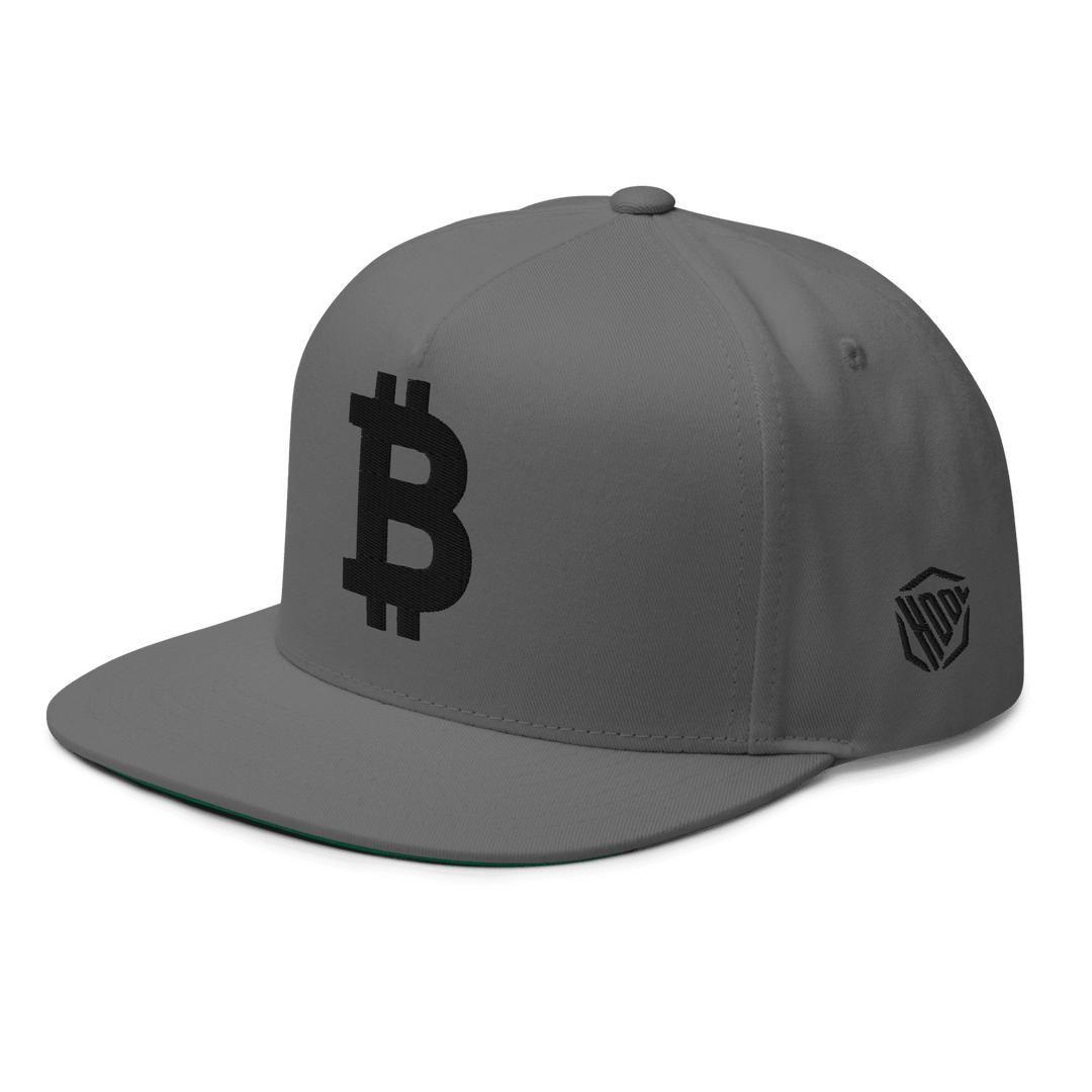 Bitcoin Flat Bill Cap Black 3D