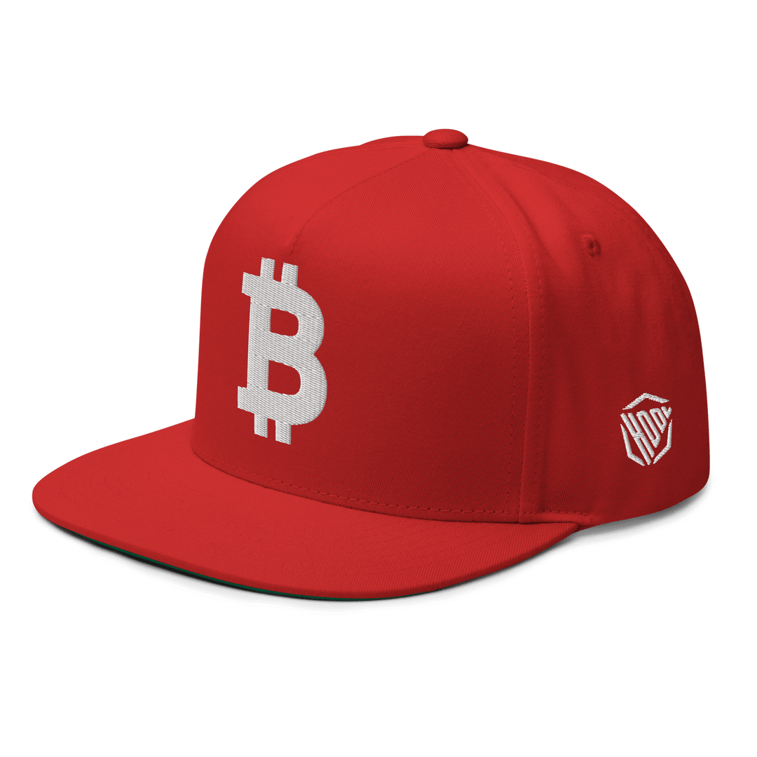 Bitcoin Cap  Flat Bill White 3D