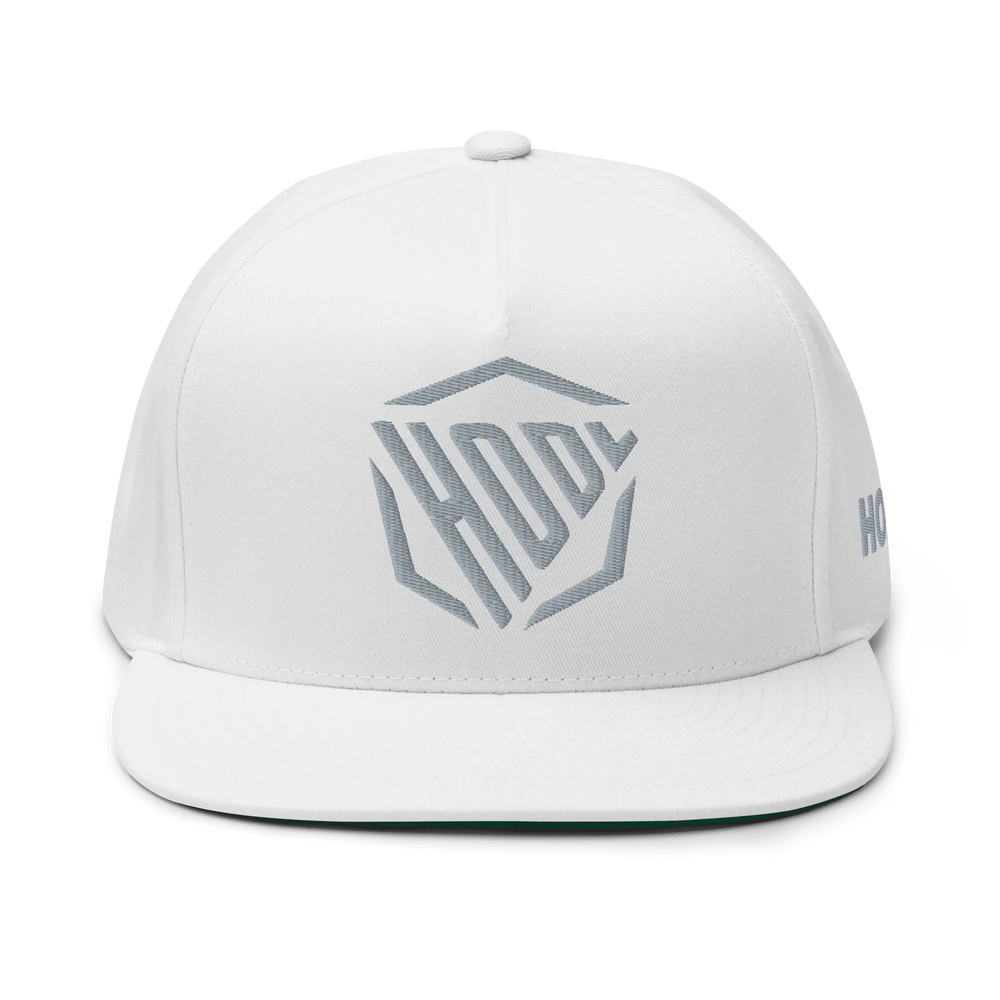 HODL Flat Bill-Cap HODL Logo Grau – Crypto Cap | HODL.ag